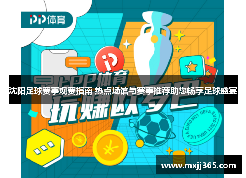 沈阳足球赛事观赛指南 热点场馆与赛事推荐助您畅享足球盛宴